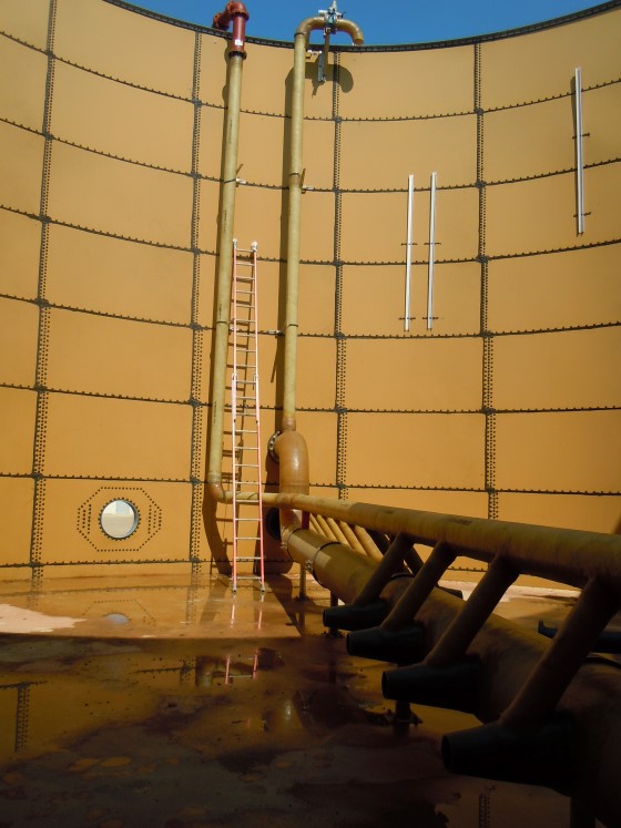 aerobic digester with backflush